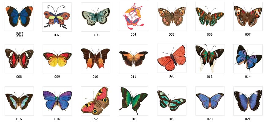 Butterflies 001 - 021