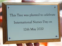Weatherproof and good value engraved tree plaque.