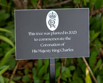 Black and white acrylic plaque on a tree stake.