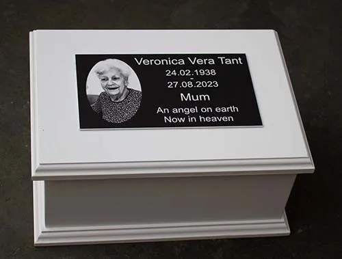 Click on this photo for more information Painted Tricoya Casket