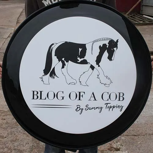 Printed Disk Wheelcover