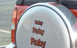 Stainless Steel Wheelcover