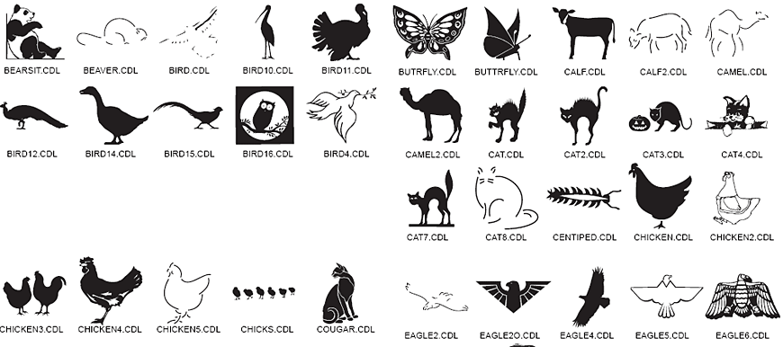 Animal Designs