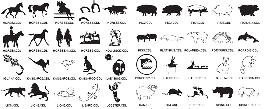 Animal Designs