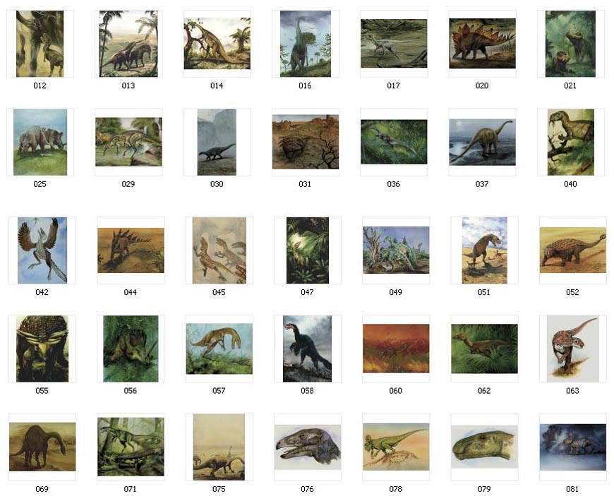 Dinosaur pictures to use on any printed material.