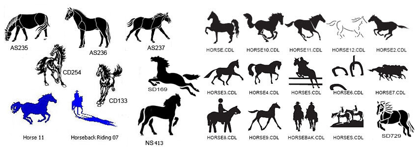 Horse Images