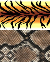 Backgrounds - Snake Skin and Animal Hide