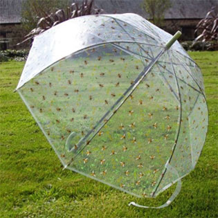 Clear Bee Umbrella