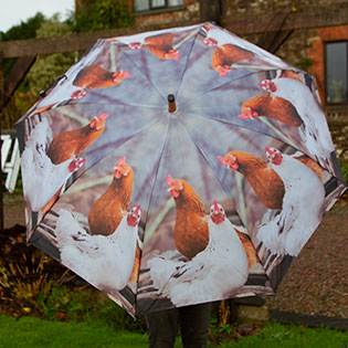 Chicken Umbrella