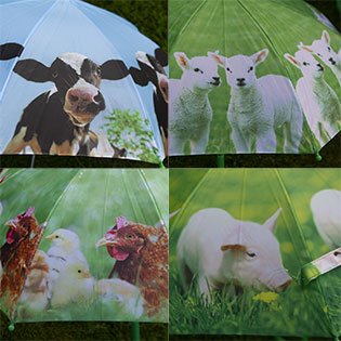 Childrens farm animal umbrellas - pigs, chicken, cows & lambs.