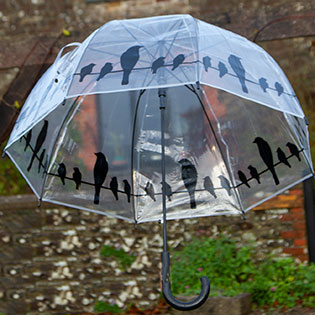 Clear silhouette bird umbrella.