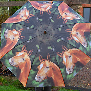 Horses Umbrellas