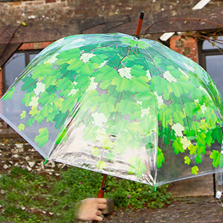 Clear leaf umbrella.