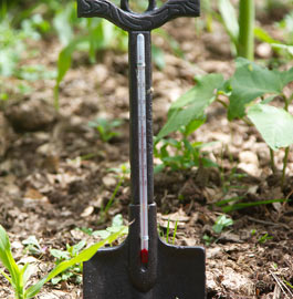 Garden Thermometer