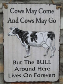Cows may come and go