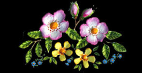 Dog Rose