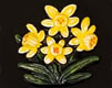 Daffodil Motif