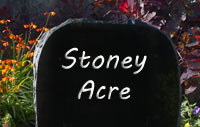 Granite boulder Granite boulder
