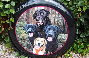 Wheel covers for home and business.