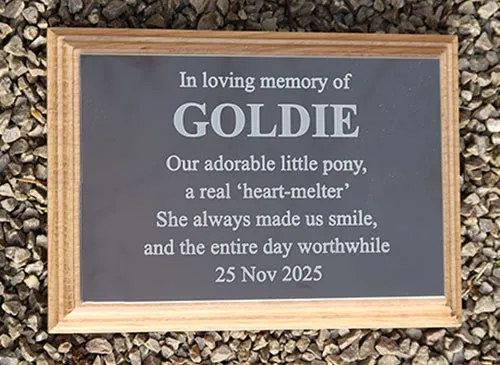 Dark Bronze Memorial Plaque