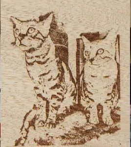 The end result lasered onto wood. The Lasered  Wooden Memorial