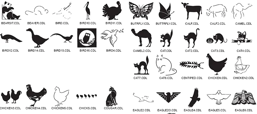 animal images bird, butterfly, camel, cat, chicken, eagle