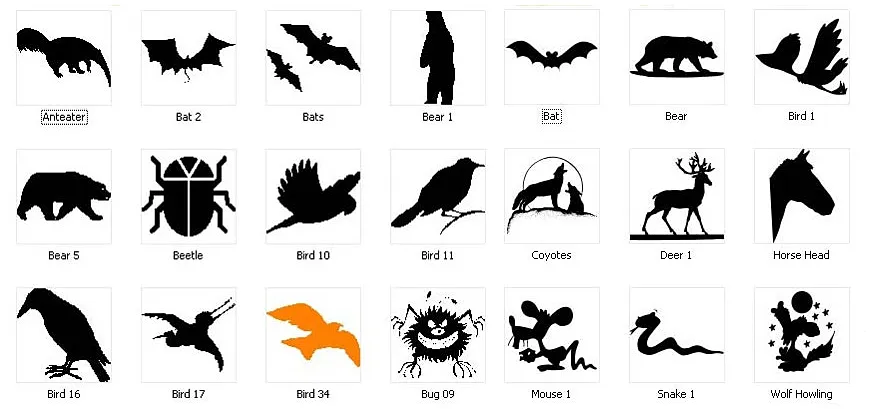 Animal images. Bat, bear, bird