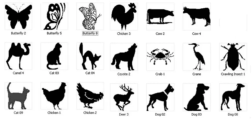 Animal images. butterfly, cat, chicken, deer, dog