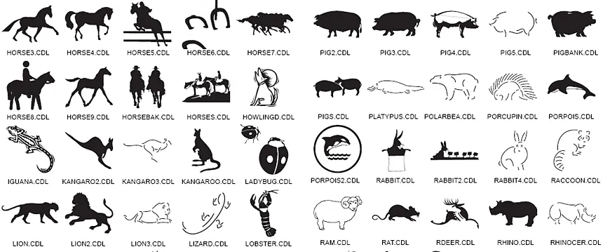 Animal images. Hors, pig, kangaroo, rabbit, lion, lizard