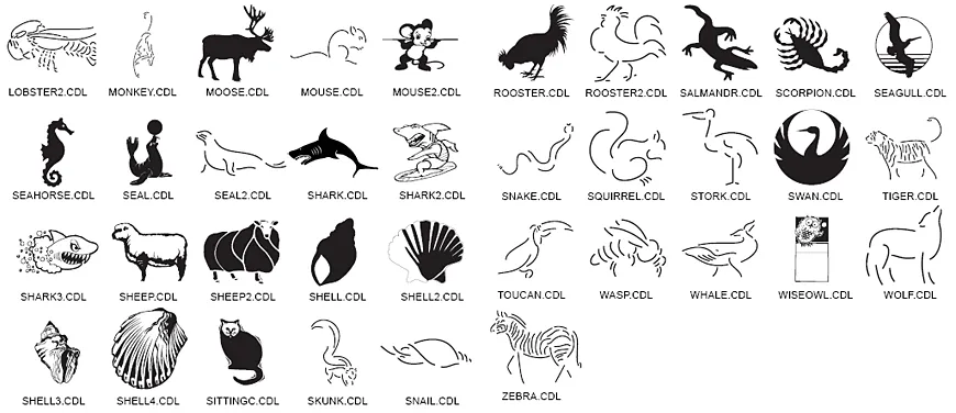 Animal Images. Lobster, moose, mouse, seahorse, seal