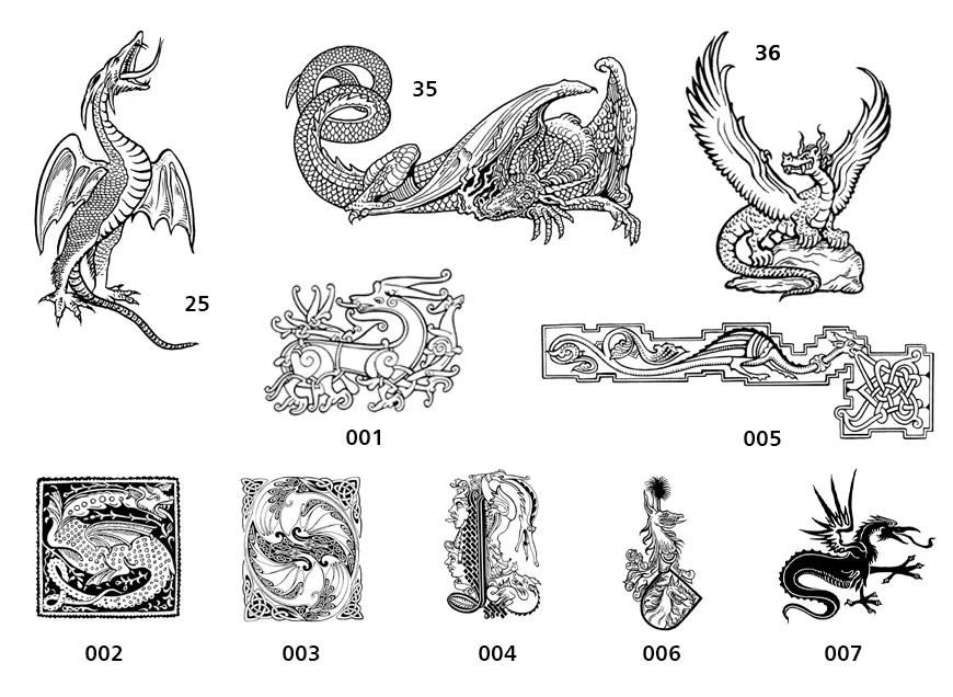 A selection of dragon designs