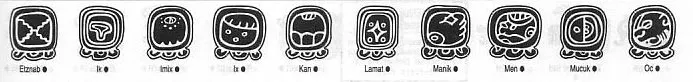 A selection of traditional Maya tribal symbols