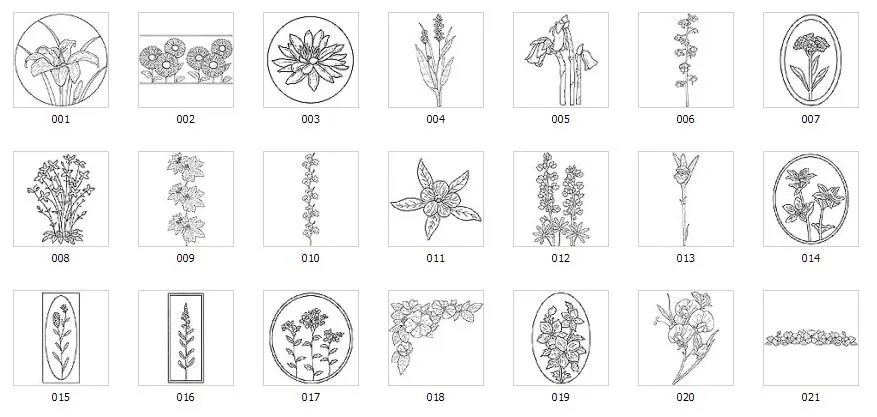 A collection of images of wild flowers