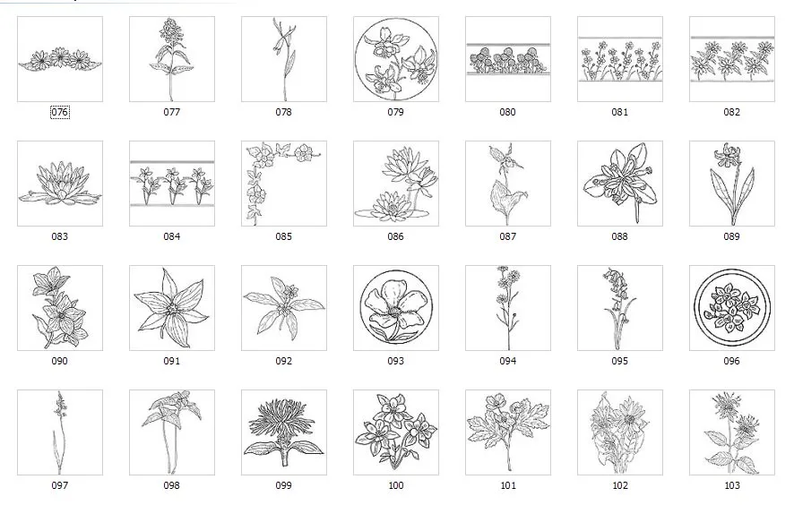 A collection of images of wild flowers