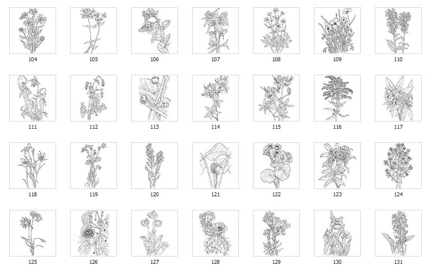 A range of wild flower designs