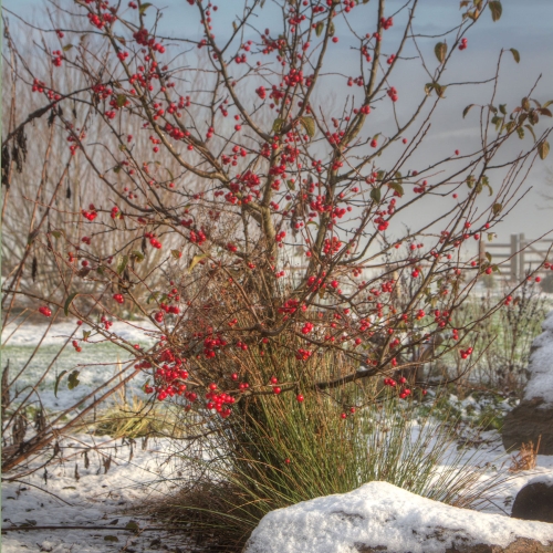 Helping Wildlife Through Autumn and Into Winter