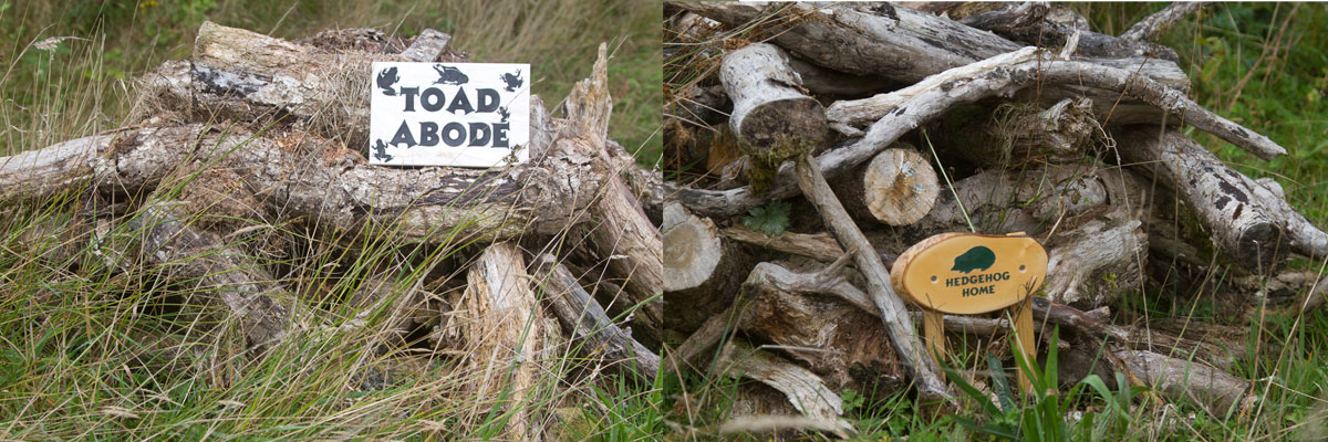 Creating wildlife habitats here at The Sign Maker.