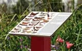 Outdoor Lectern  Signage Outdoor Lectern  Signage