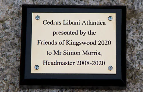 Backing Board - 45 degree Beveled Edge