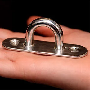 Large Stainless Steel Eyeplate