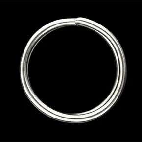 Stainless Steel Split Ring