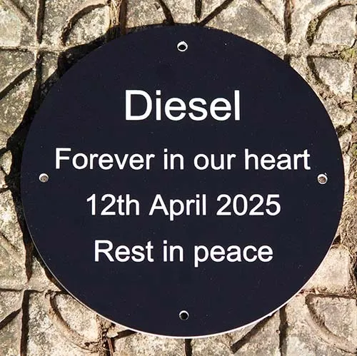 Round Dog Memorial