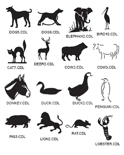 Animals
