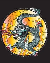 Dragon and Wizzard Images