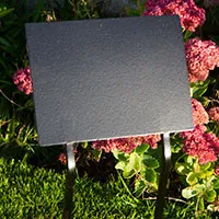 Large double spike with flat plate