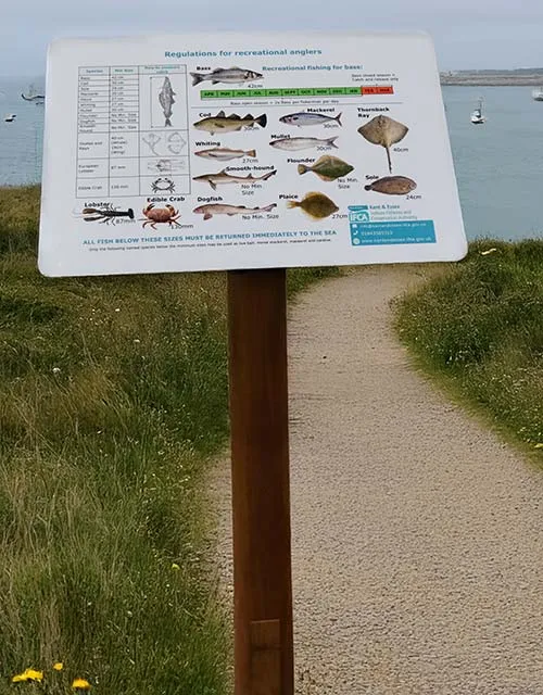 title here Robust Lecternes