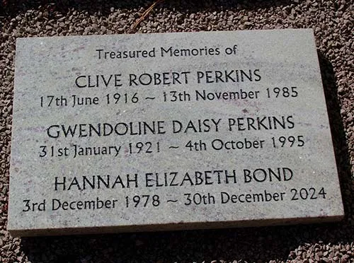 Honed Amber White Granite