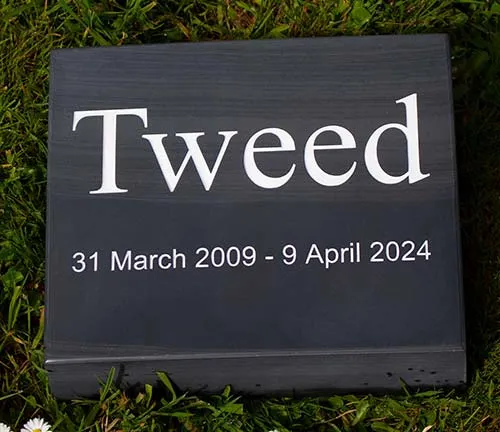 These are uually placed in the garden Slate Tablet For A Pet