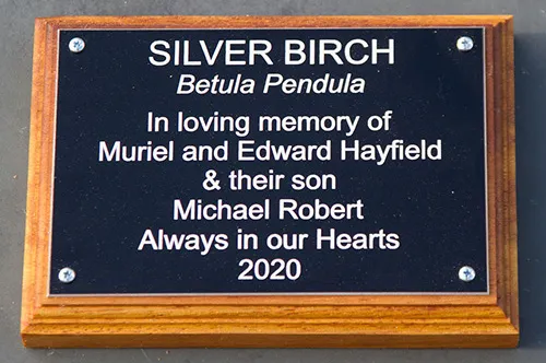 Black aluminium tree memorial