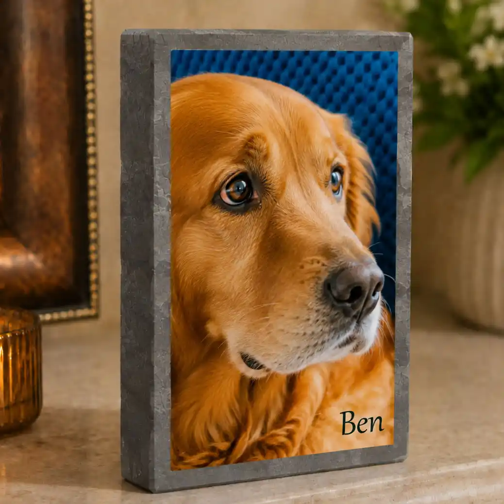 Solid Slate Photo Portrait
